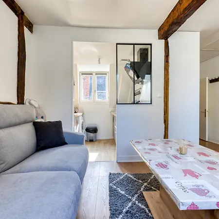 Apartment Dans L'hypercentre De Rouen