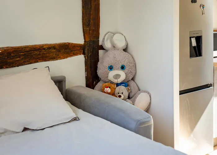 Dans L'hypercentre De アパート *